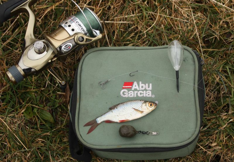 Shakespeare Agility Barbel Specimen Rod Perch deadbait